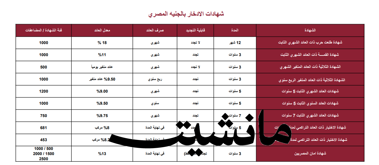 بعائد سنوي تصل إلي 22%.. تعرف على أنواع شهادات بنك مصر الجديدة 2023-2024