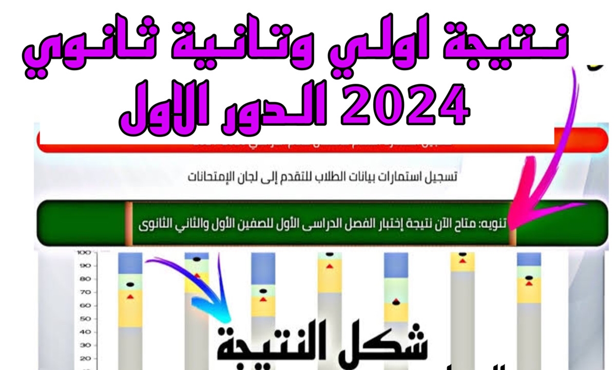 بالاسم ورقم الجلوس.. طريقة الاستعلام عن نتيجة الصف الثاني الثانوي 2024 عبر بوابة التعليم الأساسي