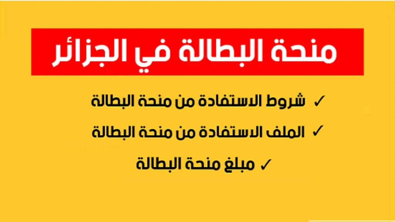 “قبل انتهاء المدة” لينك تجديد منحة البطالة 2024 في الجزائر وطريقة الحصول عليها (الخطوات + الشروط المطلوبة) minha.anem.dz