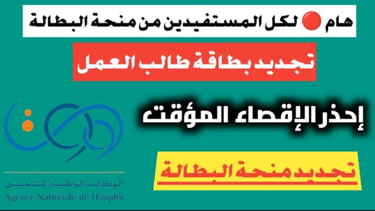 رابط مباشر.. طريقة تجديد منحة البطالة 2024 الجزائر عبر الوكالة الوطنية للتشغيل