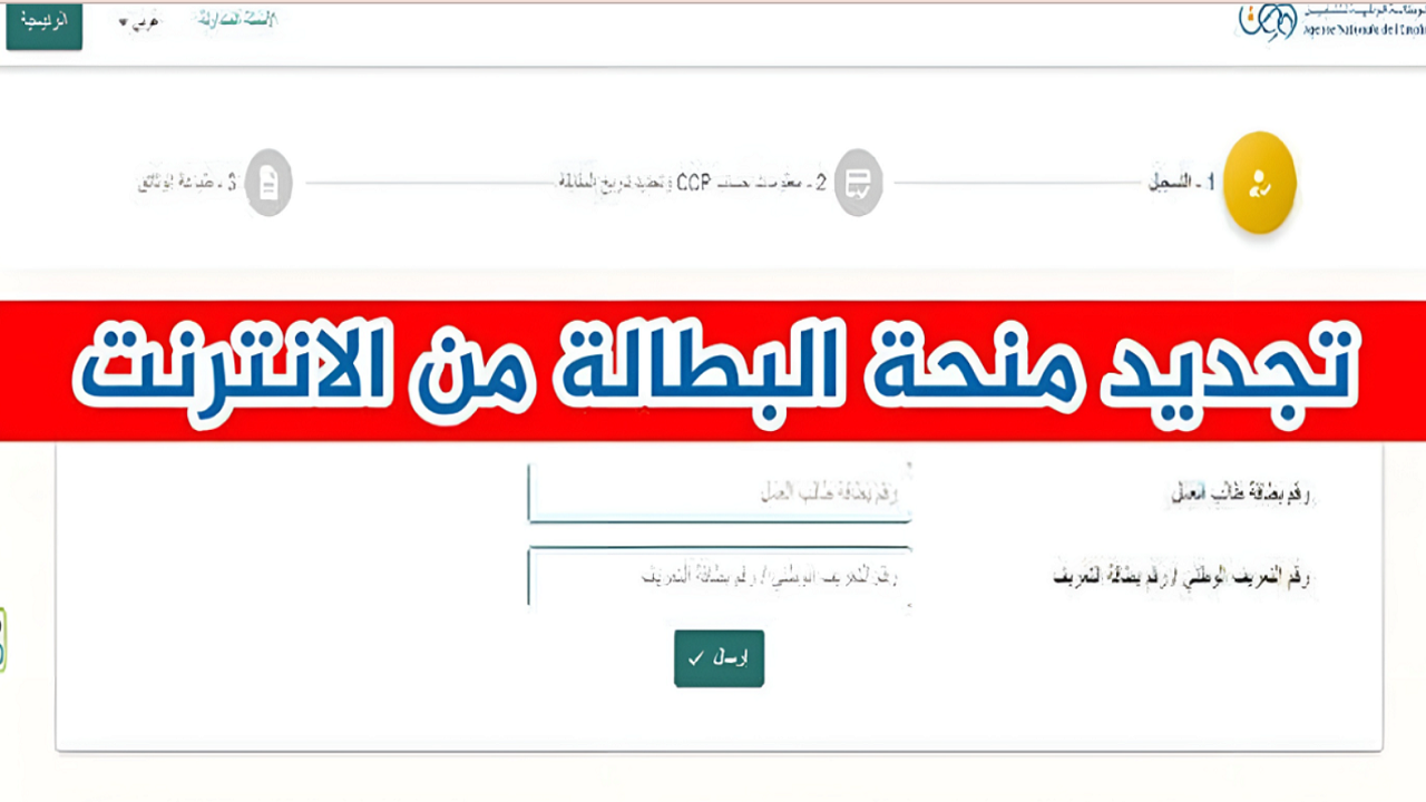 رابط مباشر.. كيفية تجديد منحة البطالة 2024 الجزائر عبر الموقع الرسمي