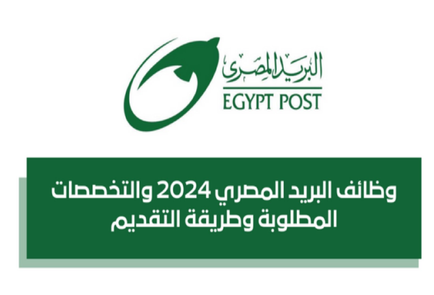 وظائف البريد المصلاي 2024.. اعرف الشروط والأوراق المطلوبة للتقديم لـ 900 وظيفة