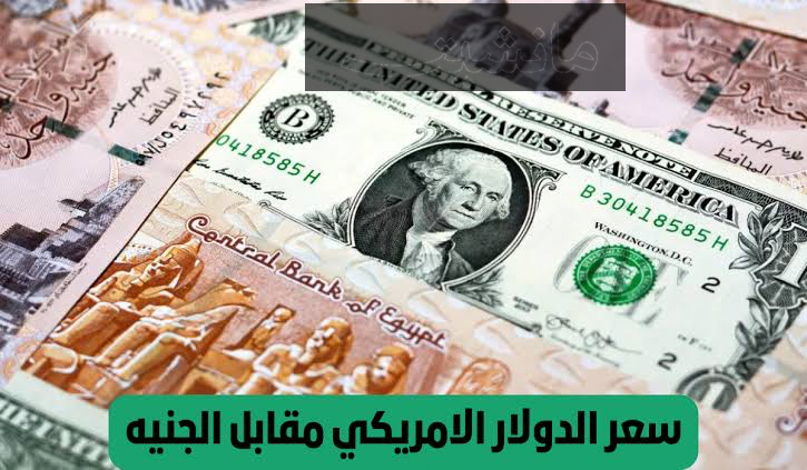 “الأخضر وصل كام”.. سعر الدولار مقابل الجنيه المصري في البنوك المصرية اليوم الثلاثاء 20 فبراير 2024.. بكام دلوقتي!!