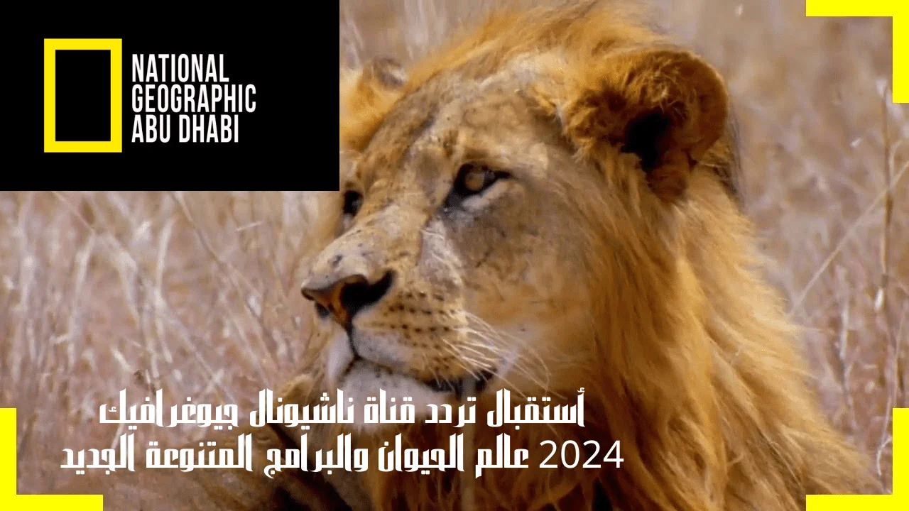 قناة ناشيونال جيوغرافيك National Geographic.. استقبل التردد الجديد 2024 على جميع الأقمار الصناعية