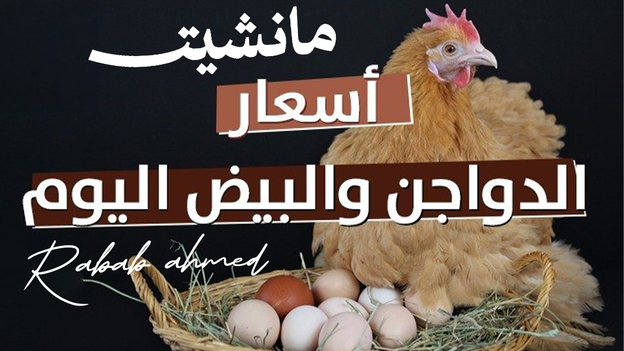 “أشتري من دلوقتي لرمضان”.. ارتفاع أسعار الدواجن اليوم في مصر الثلاثاء 6 فبراير