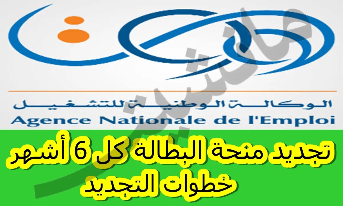 anem.dz.. رابط تجديد منحة البطالة 2024 الجزائر عبر الوكالة الوطنية للتشغيل