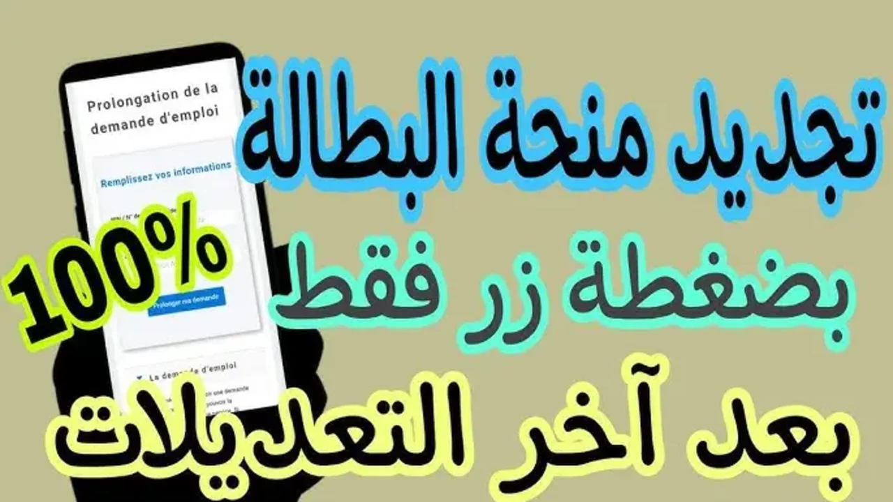 “بادر بالتسجيل” رابط موقع تجديد منحة البطالة 2024 عبر وكالة التشغيل الإلكترونية anem.dz