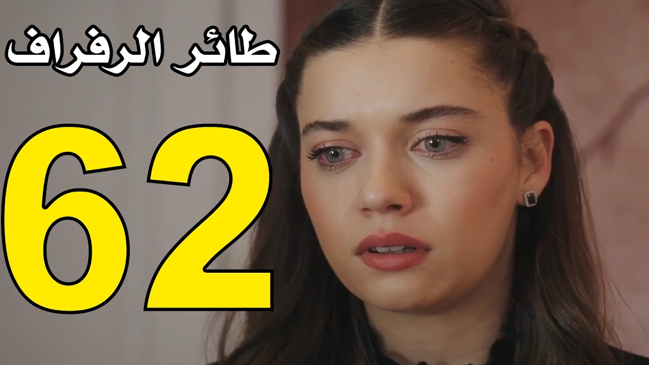 NOW.. مسلسل الطائر الرفراف الحلقة 62 ديلي موشن dailymotion وقناة ستار تي في