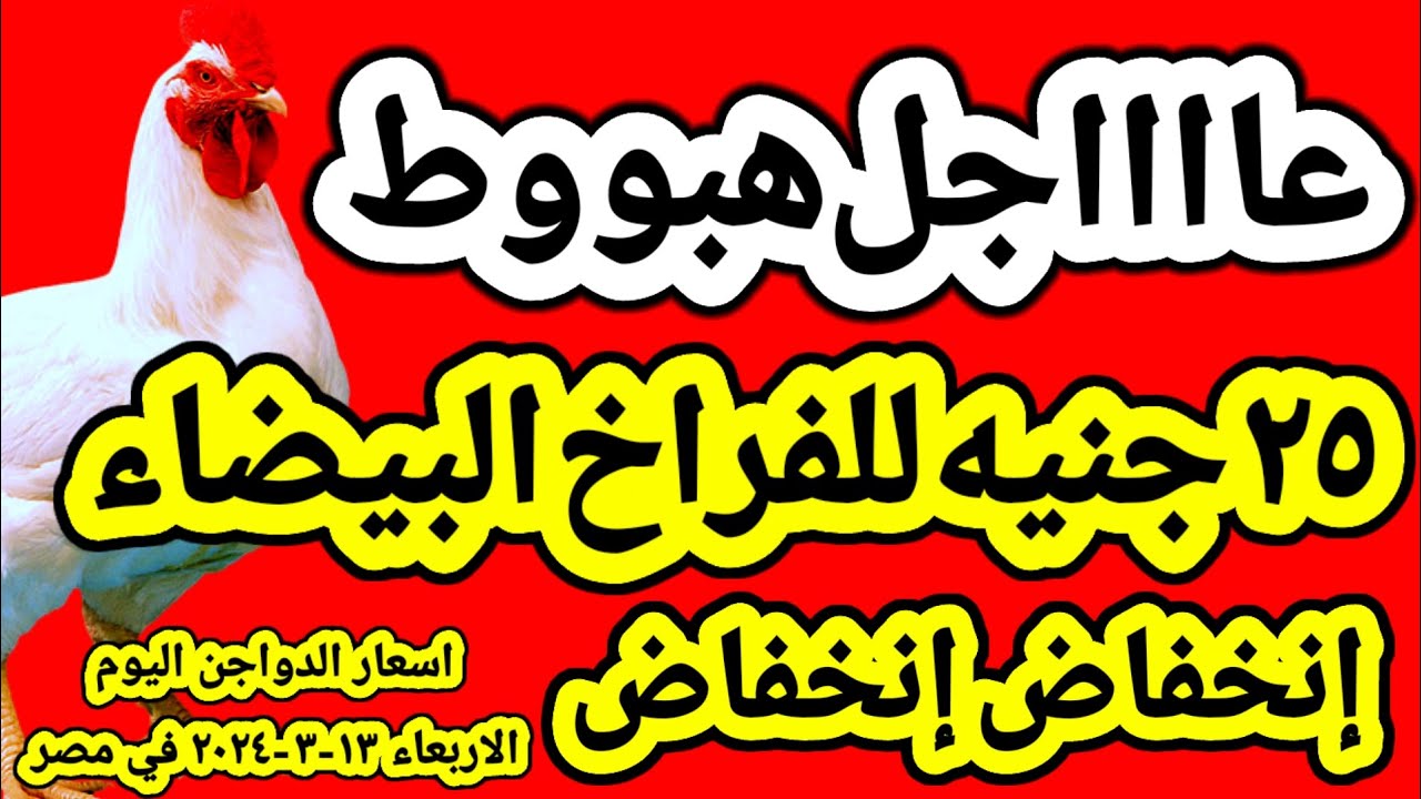 “مفاجأه جديدة في بورصة الدواجن اليوم”.. أسعار الدواجن في مصر اليوم الأربعاء 13 مارس 2024