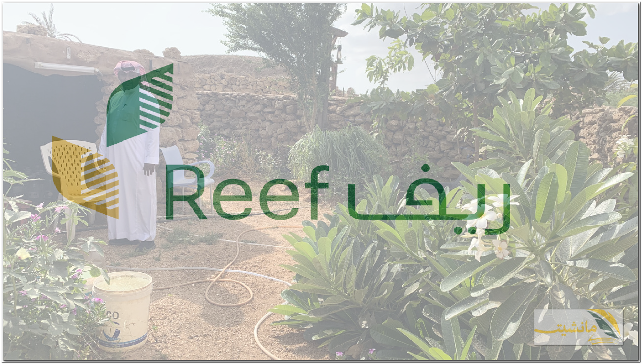 “هنا” تفاصيل كيفية التسجيل في دعم ريف Reef وشروط التسجيل 1445