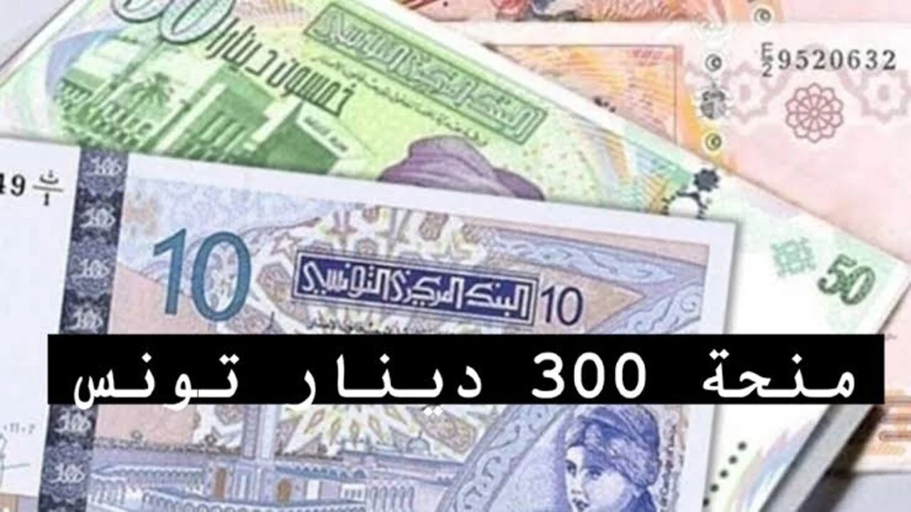 رابط الحصول على منحة 300 دينار 2024 تونس social.gov.tn إلكترونيًا عبر وزارة الشؤون الاجتماعية