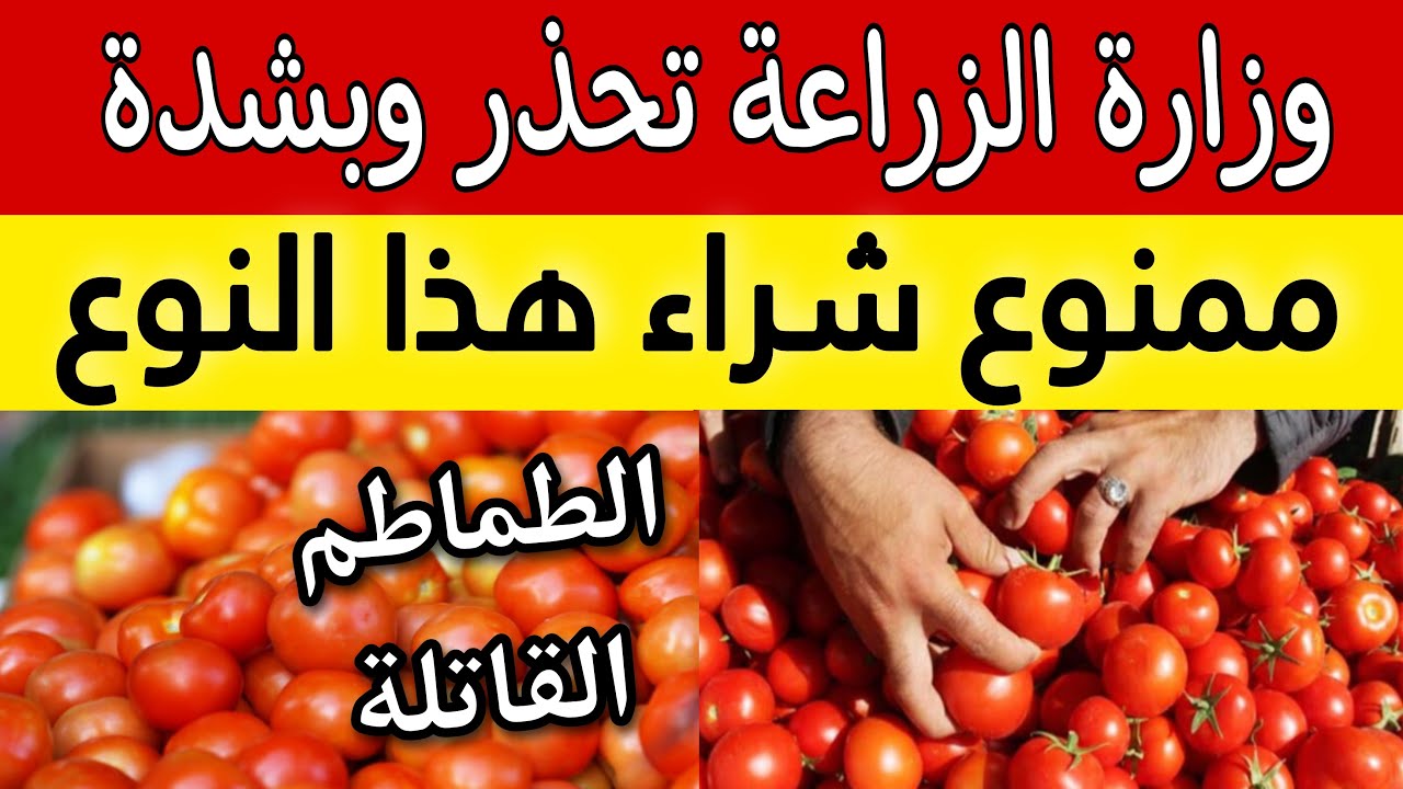 وزارة الصحه المصرية تحذر بشدة من شراء هذا النوع من الطماطم حتى يتم جمعها من الأسواق “تحتوى على سم قاتل يؤدى الى الوفاة”