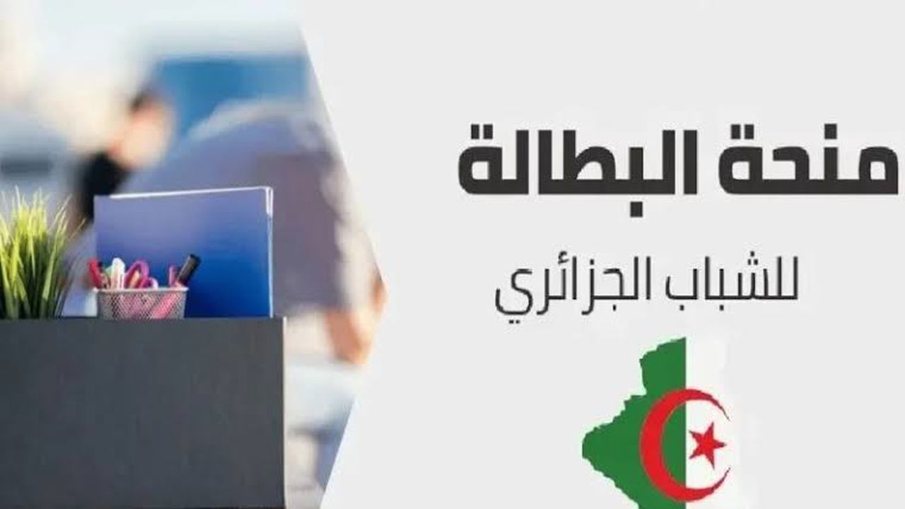 رابط وخطوات تجديد منحة البطالة في الجزائر 2024 عبر الوكالة الوطنية للتشغيل وأهم الشروط المطلوبة