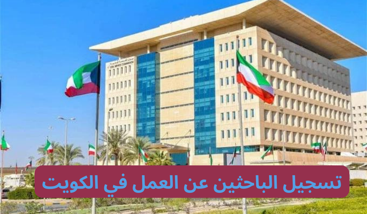 “الحق الفرصة”.. رابط وطريقة التسجيل في ديوان الخدمة المدنية بالكويت 2024 من خلال csc.gov.kw