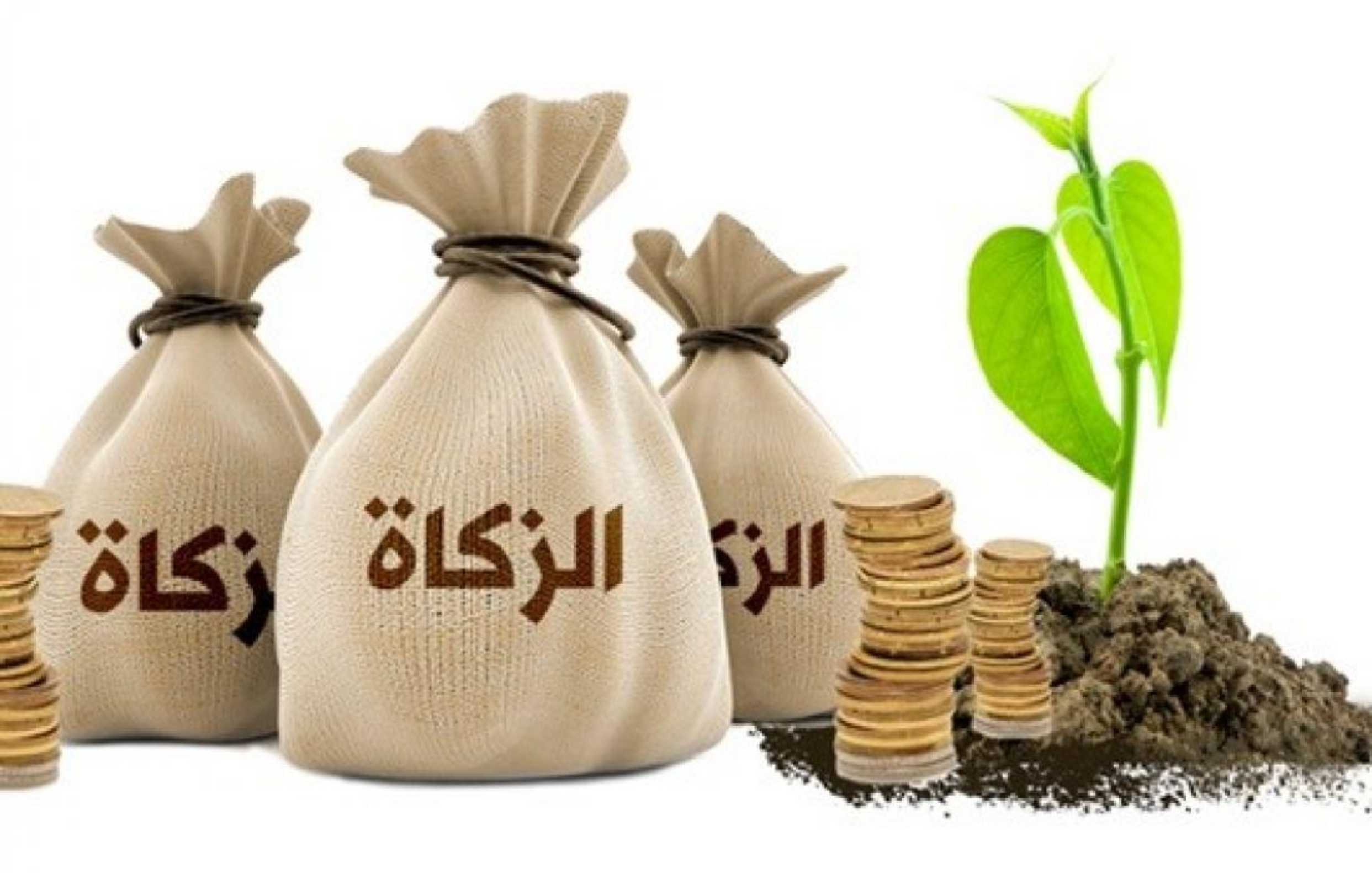 ربنا هيبارك فى مالك.. قيمة زكاة الفطر في السعودية 1445 وما هو وقت إخراجها