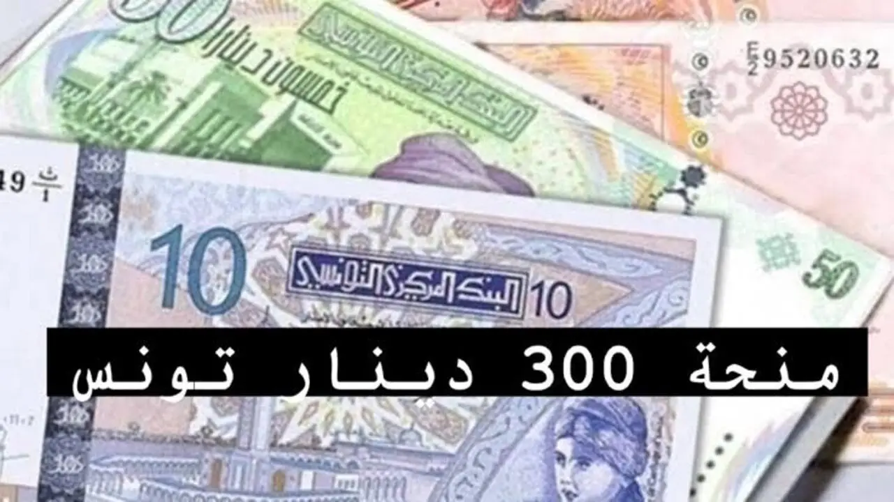 خطوات التسجيل في منحة 300 دينار تونس 2024 وأهم الشروط المطلوبة