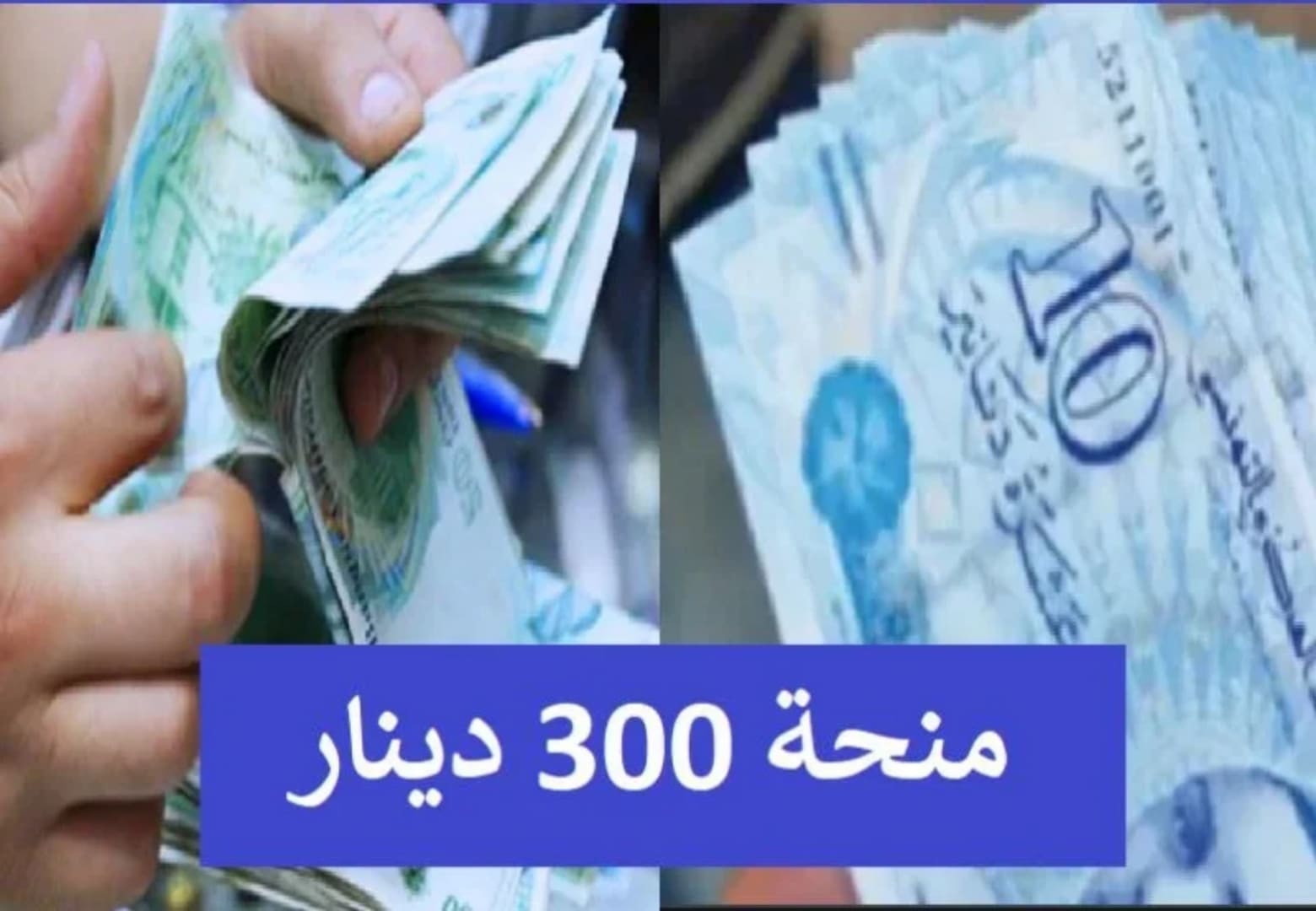 خطوات التسجيل في منحة 300 دينار عبر منصة امان التونسية 2024