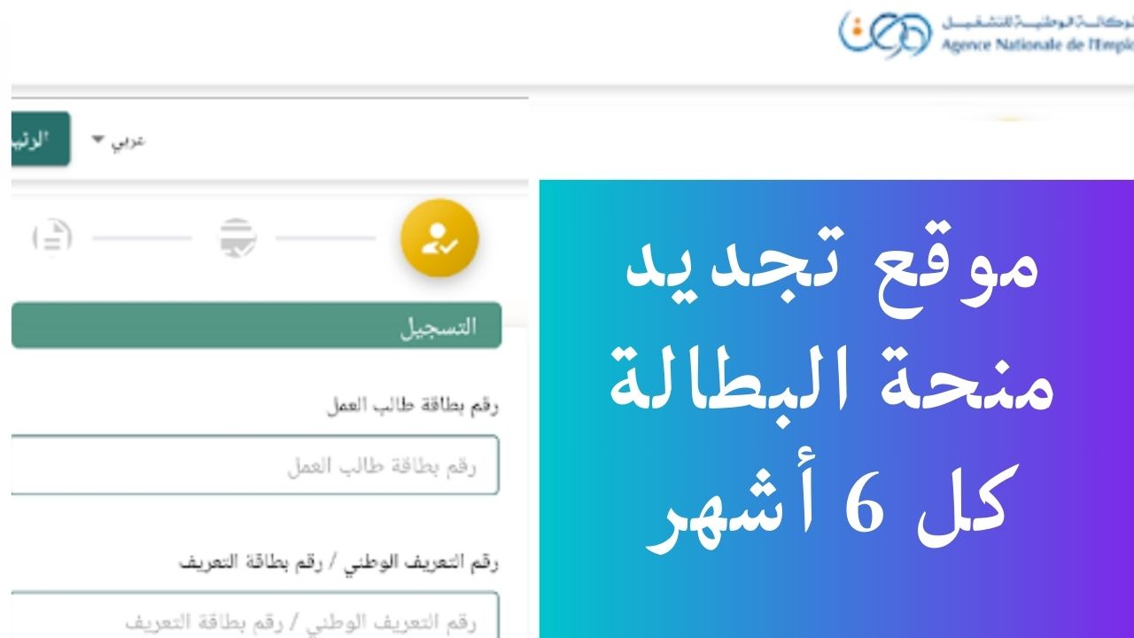 وسيط أونلاين موقع تجديد منحة البطالة كل 6 أشهر وطريقة التسجيل عبر منصة minha anem dz