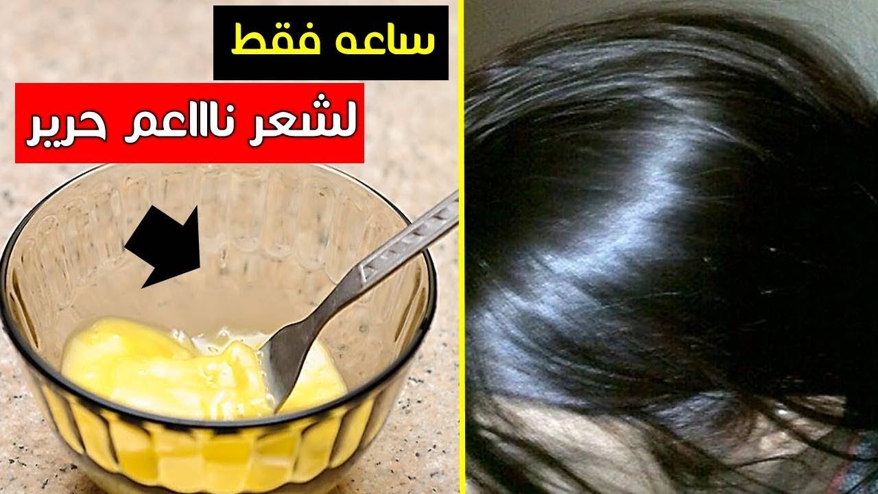 كلهم هيسالوكي شعرك بقى ناعم كده ازاي.. أقوى وصفة لتنعيم وفرد الشعر جربيها وهتدعيلي