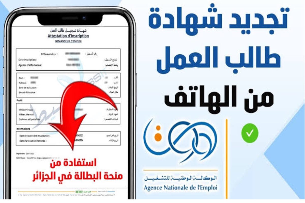 أسهل طريقة لـ تجديد منحة البطالة كل 6 أشهر خطوة بخطوة خلال الوكالة الوطنية للتشغيل.. بــادر الان