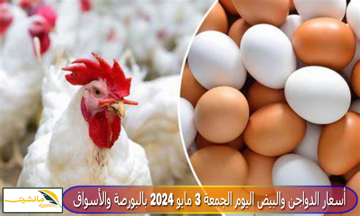 “انخفاض جديد مفاجئ” أسعار الدواجن والبيض اليوم الجمعة 3 مايو 2024 بالبورصة والأسواق