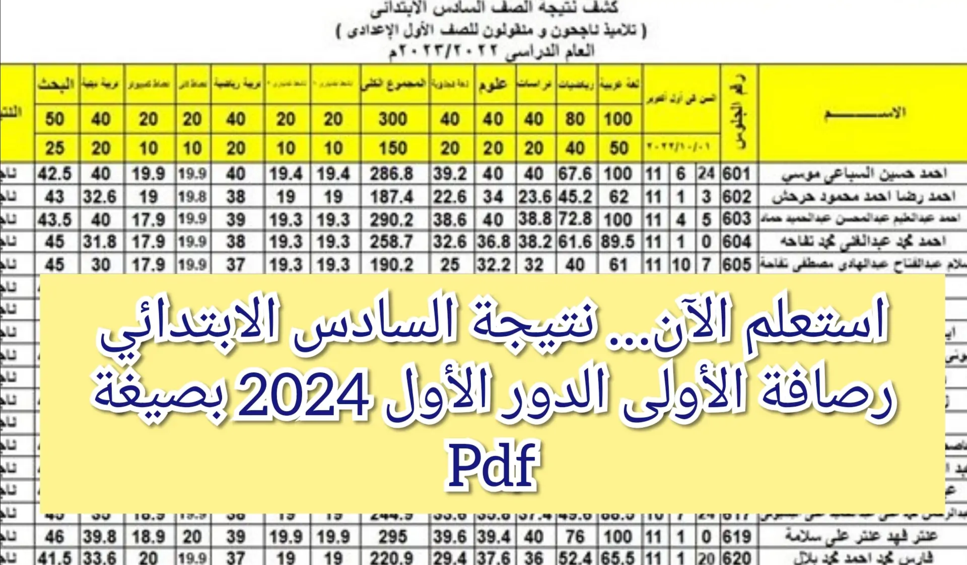 مستني ايه.. رابط نتيجة السادس الابتدائي العراق وكيفية الاستعلام عنها