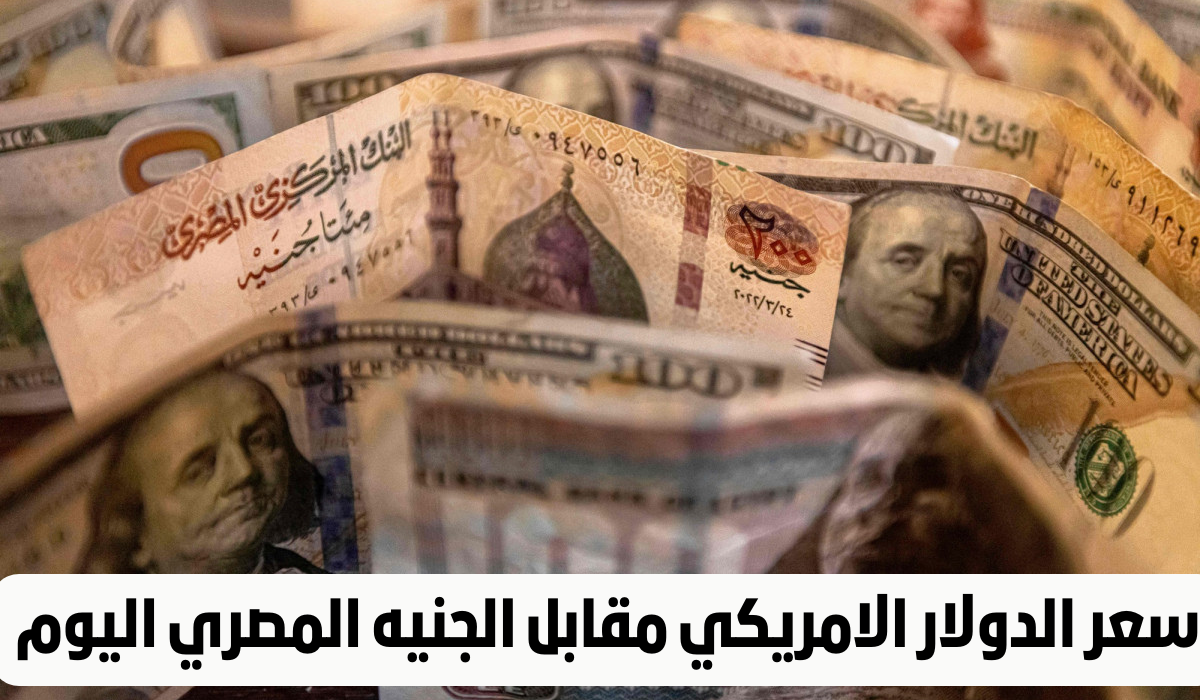 ماذا حدث لـ سعر الدولار الأمريكي أمام الجنيه المصري اليوم؟ وأسعار الدينار الكويتي والريال