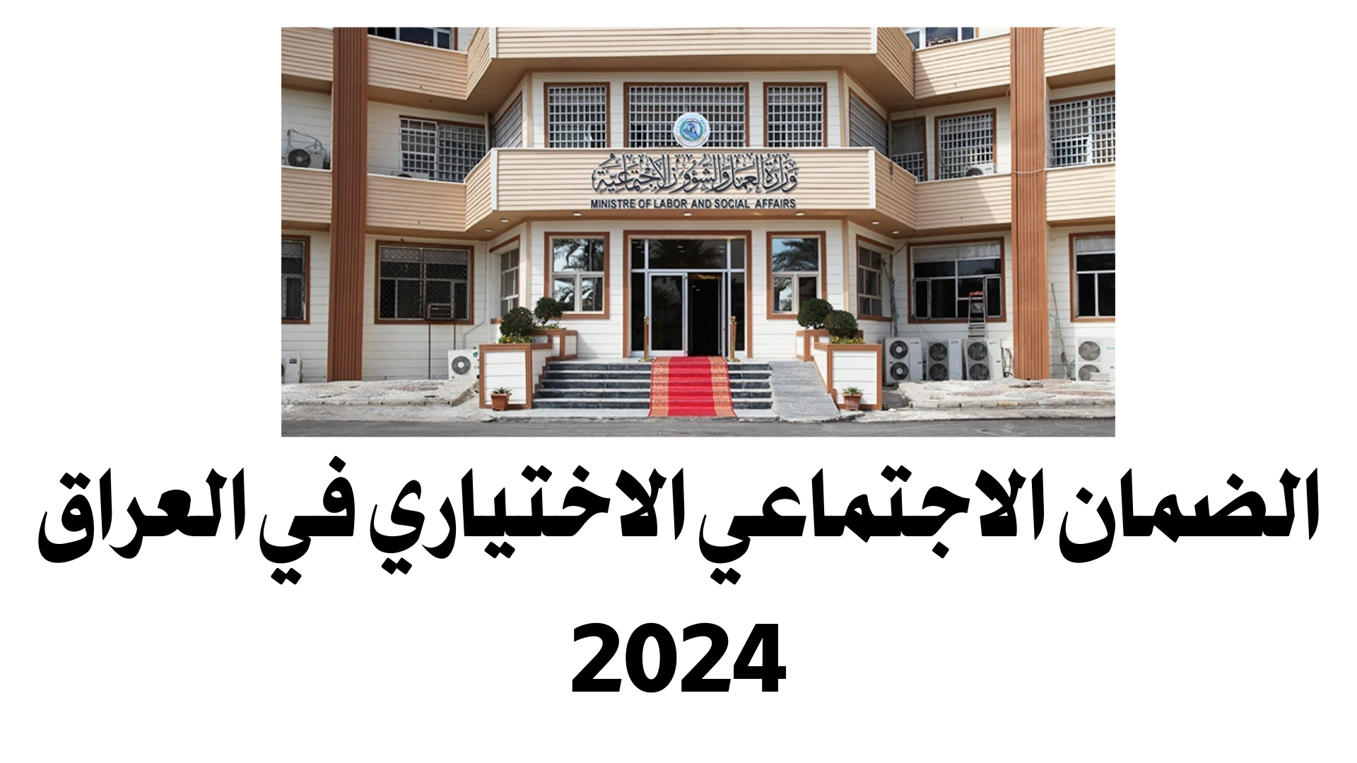 “وزارة العمل تفتح”.. التقديم على قانون التقاعد الاختياري 2024 بالعراق عبر بوابة أور