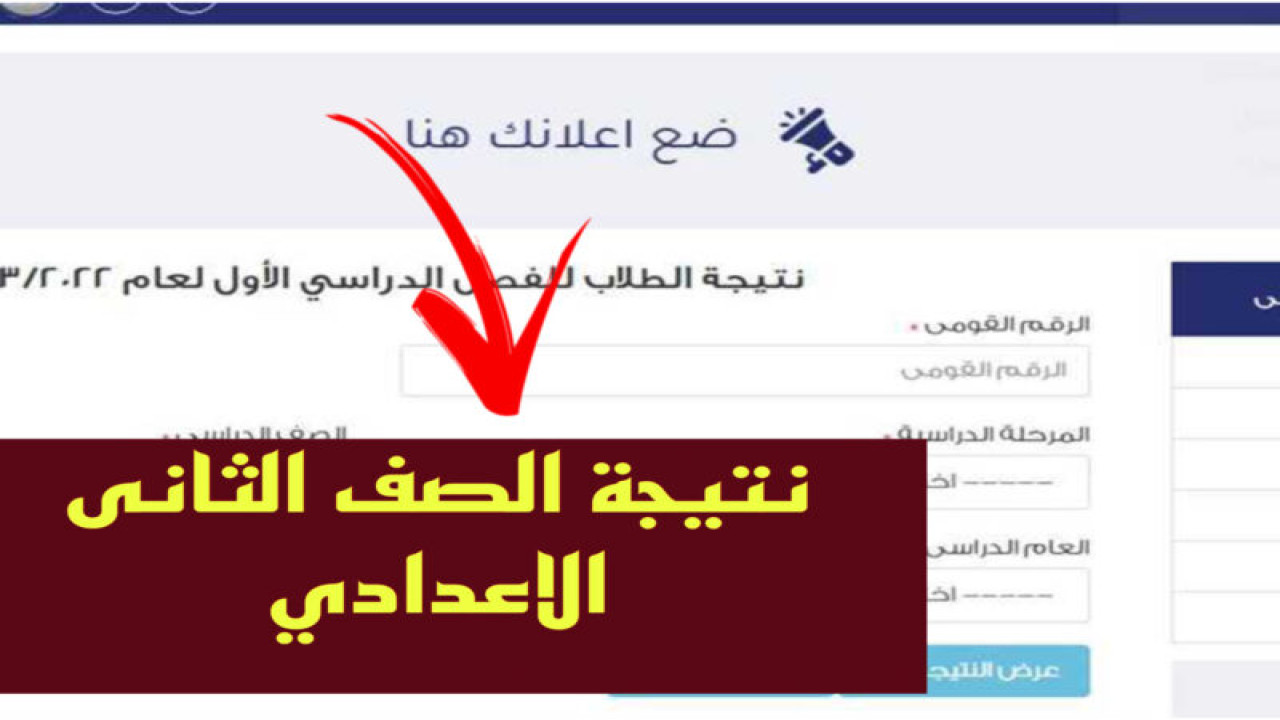 رسميًا: نتيجة الصف الثاني الإعدادي في جميع المحافظات 2024.. وكيفية الاستعلام عن النتيجة