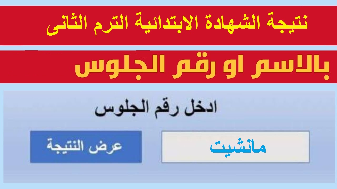 رابط الاستعلام عن نتيجة الشهادة الابتدائية 2024 الترم الثاني بالاسم ورقم الجلوس عبر موقع وزارة التربية والتعليم