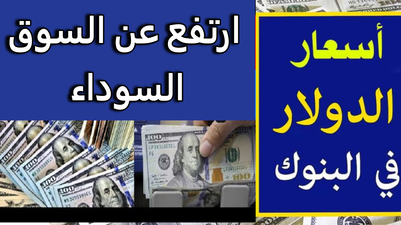 “ارتفاع جديد للدولار” كم سعر الدولار اليوم مقابل الجنيه في البنوك ؟ بعد عودة العمل في البنوك