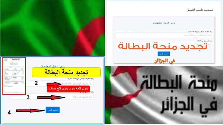 جددها الآن” رابط تجديد منحة البطالة خطوة بخطوة حتى لا يتم استبعادك