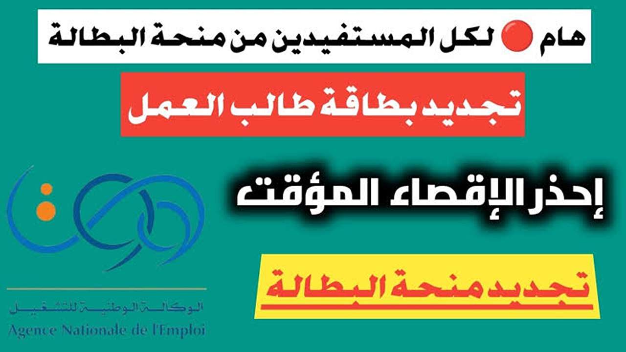 اقبض قبل العديد .. تجديد منحة البطالة في الجزائر 2024 هتصرف 15000 د.ج