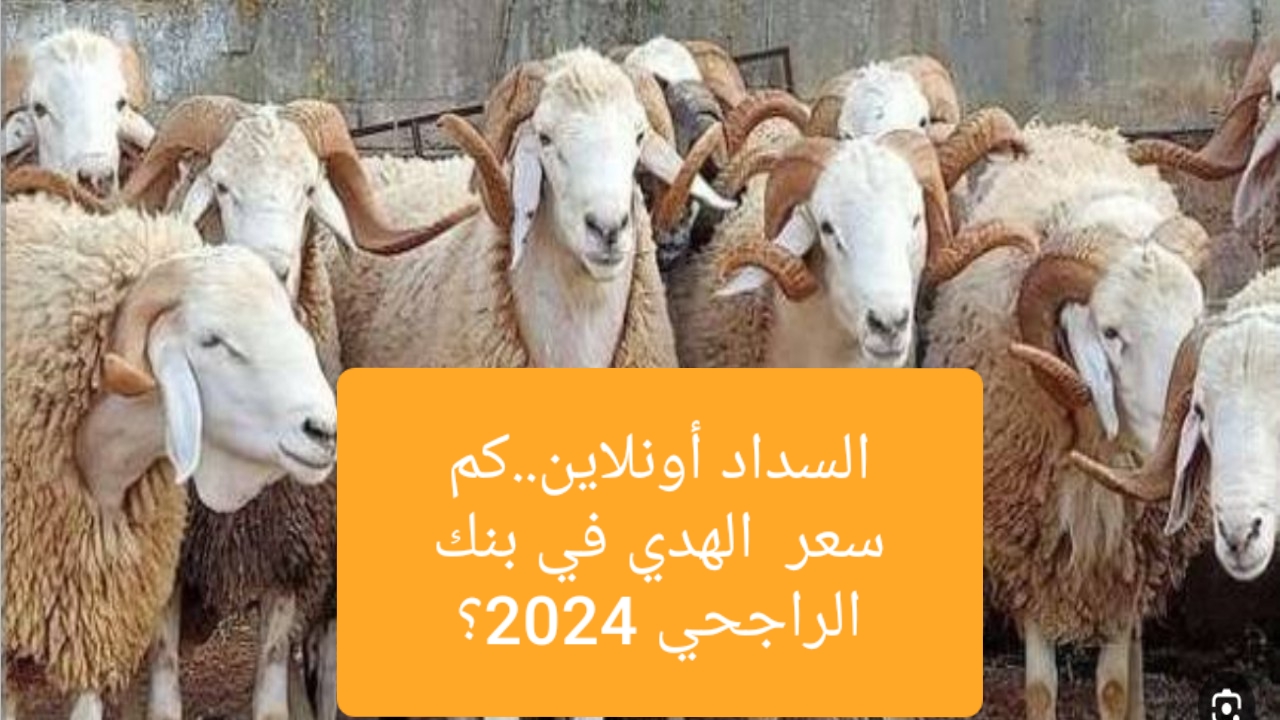 السداد أونلاين..كم سعر  الهدي في بنك الراجحي 2024؟ قائمة بأسعار الأضاحي وإجراءات الشراء