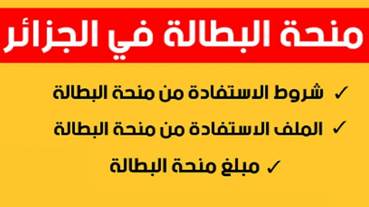 راتب شهري .. شروط منحة البطالة 2024 عبر موقع الوكالة الوطنية للتشغيل 15000 د.ج