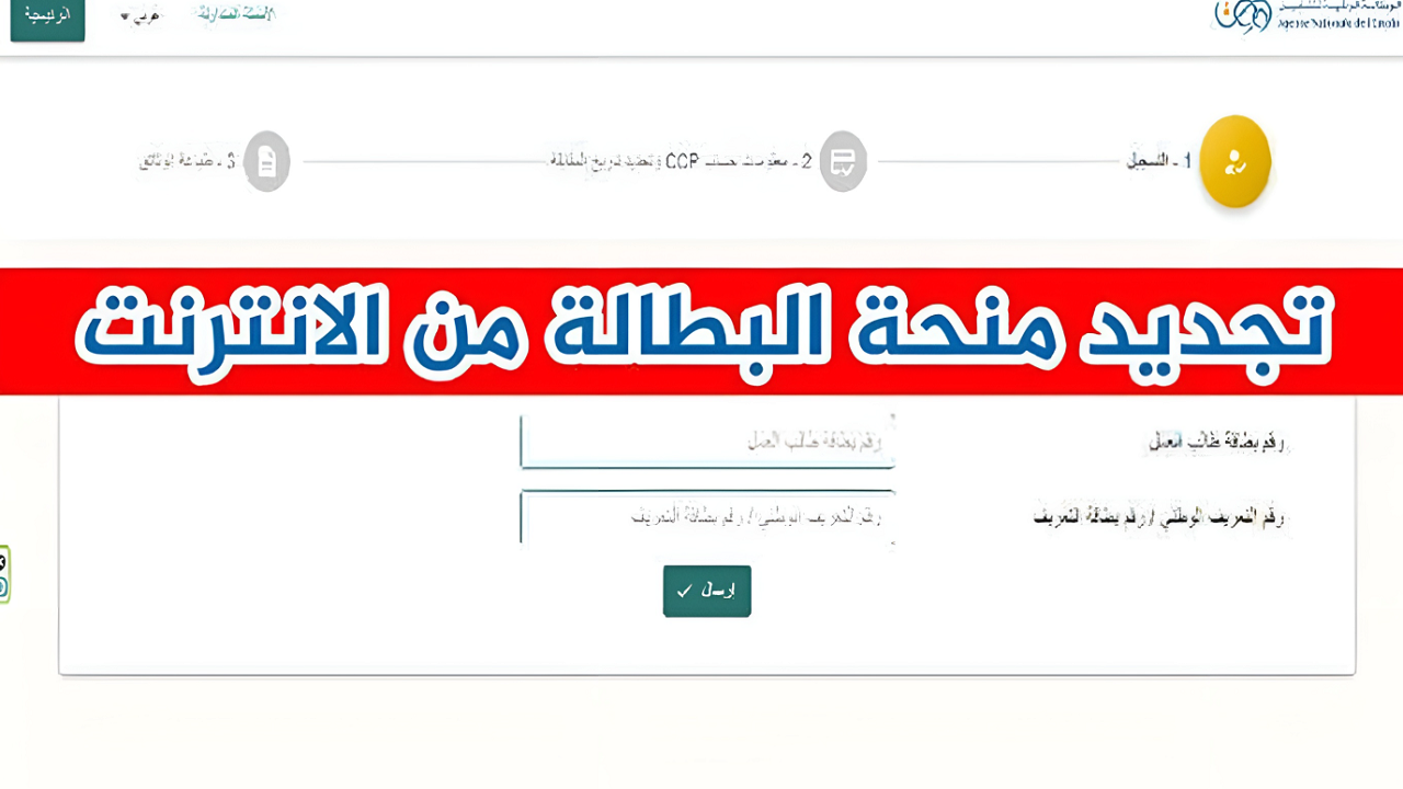 “اعرفها علشان تجدد قبل الإيقاف”.. شروط منحة البطالة 2024 للتقديم والتجديد وخطوات التجديد