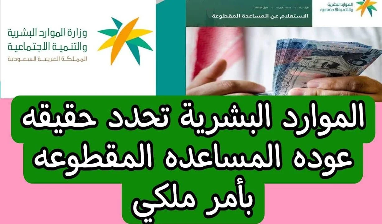 وزارة التضامن الاجتماعي توضح.. ماهي المساعدة المقطوعة و شروط التقديم وموعد صرفها والفئات المستحقة