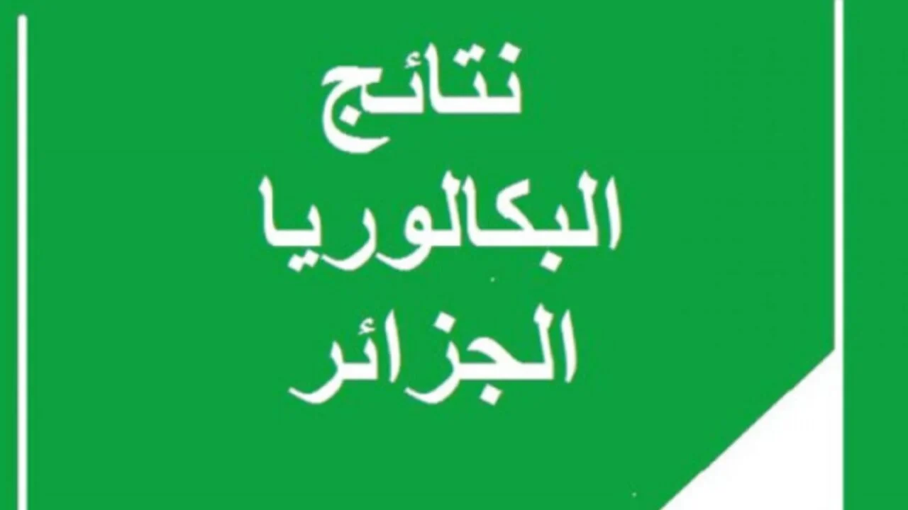 وزارة التربية تحدد الموعد النهائي لنتائج البكالوريا 2024 الجزائر واهم التخصصات المتاحة لحاملي البكالوريا