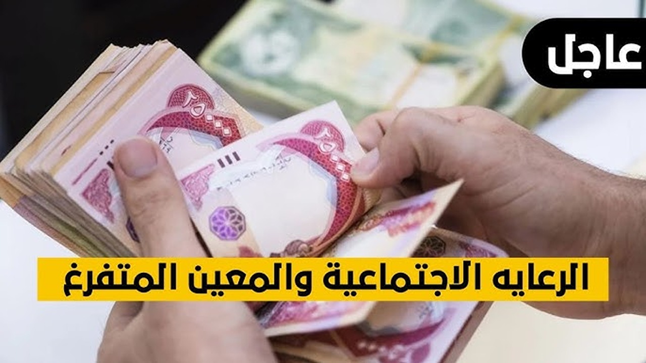 كيفية التسجيل في استمارة التقديم على المعين المتفرغ 2024 والشروط اللازمة للالتحاق بالوظيفة