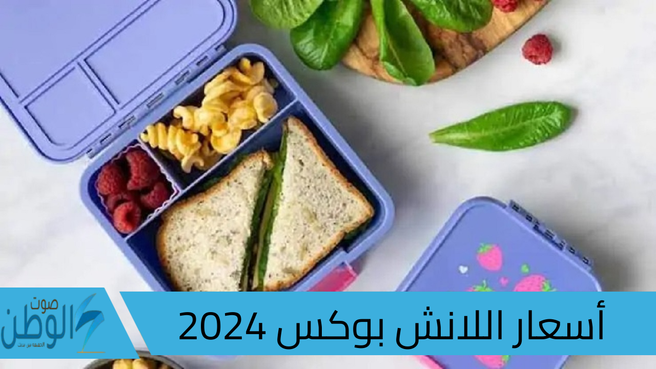 عامل كام انهاردة ؟ أسعار ومواصفات اللانش بوكس 2024 متعدد الاستخدامات الصحي 