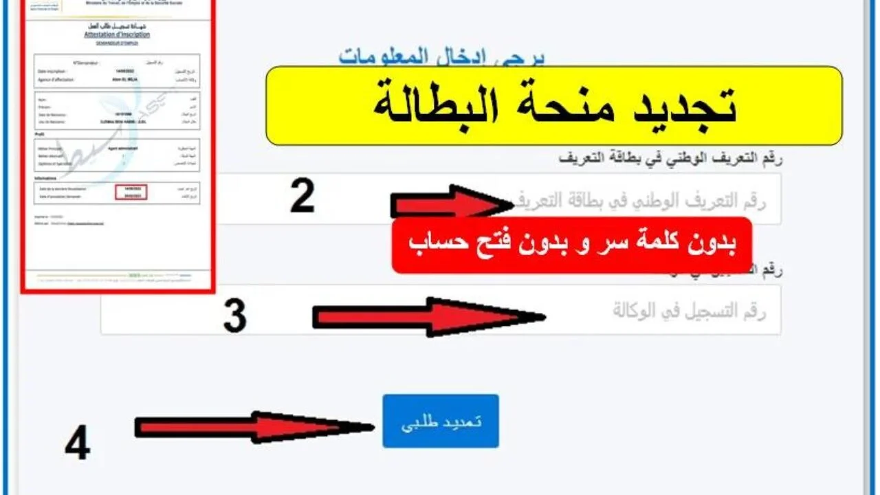 “جددها واستفيد بالدعم”.. مستمسكات تجديد منحة البطالة كل 6 شهور 2024 بالجزائر وطريقة تجديدها حسب الشروط المطلوب