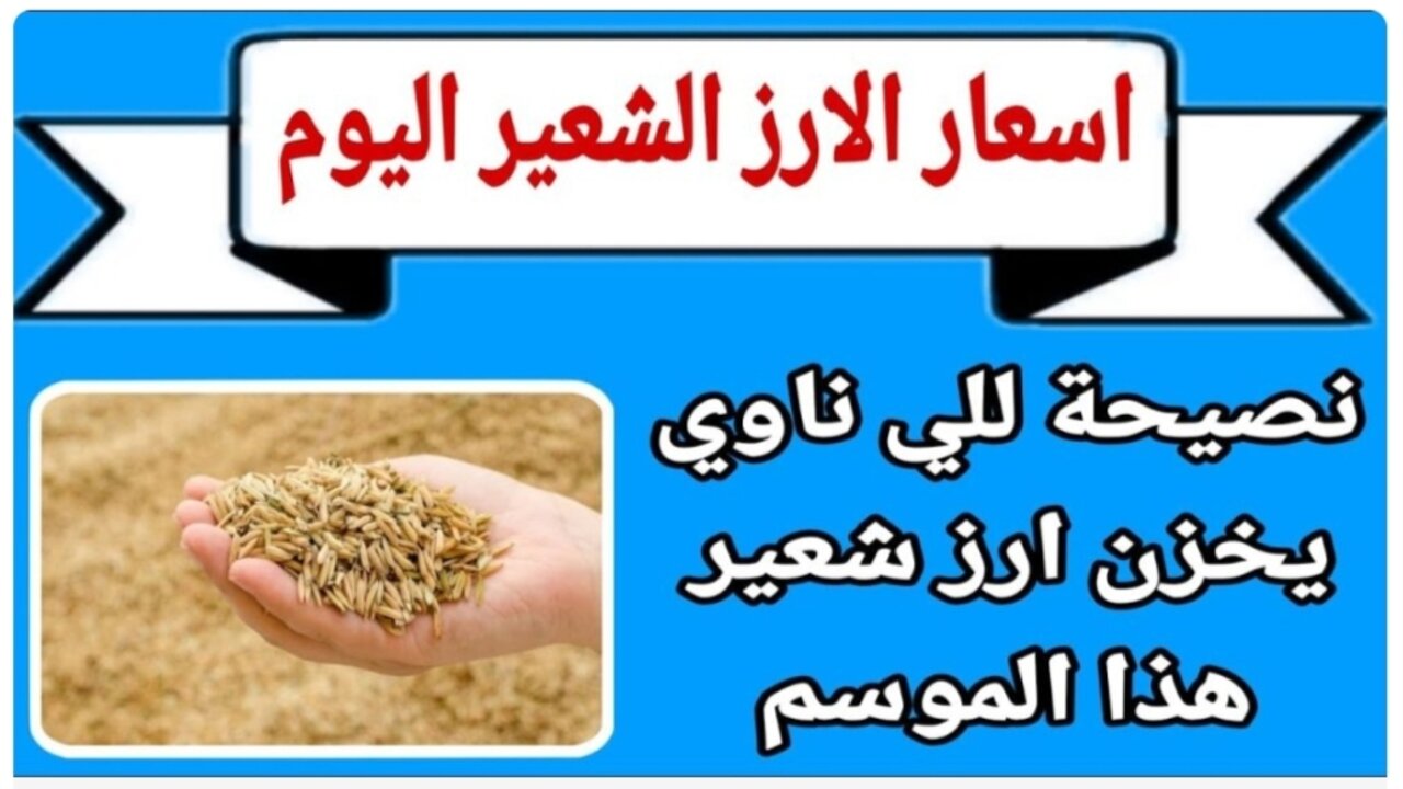 الرفيع منه بكام؟.. سعر طن الأرز الشعير اليوم في الأسواق المحلية سعر كيلو الأرز في التموين والأسواق