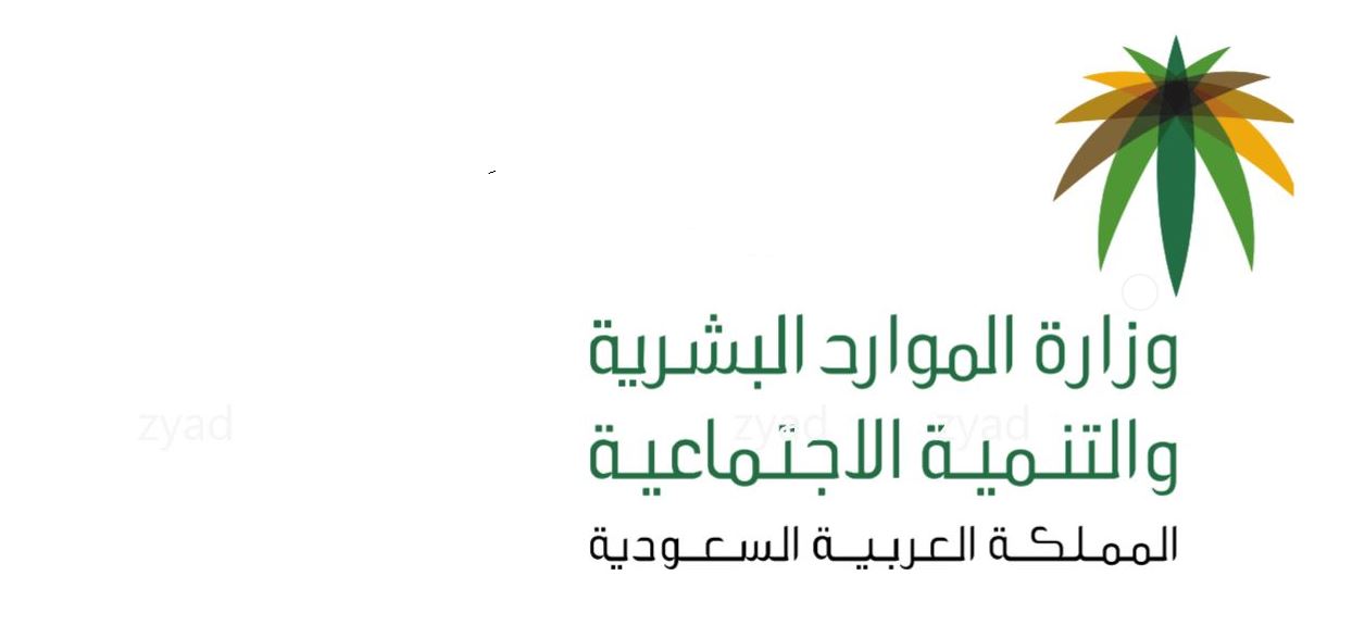 هل تبحث عن وظيفة؟ الموارد البشرية تعلن عن تدريب منتهي بالتوظيف لمستفيدي الضمان.. إليك التفاصيل