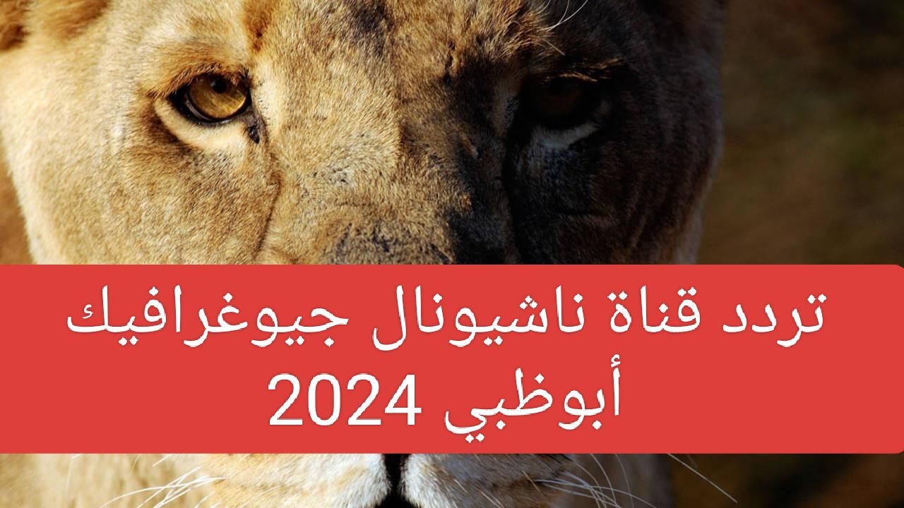 استقبلها بجودة عالية… تردد قناة ناشيونال جيوغرافيك 2024 نايل سات وعرب سات