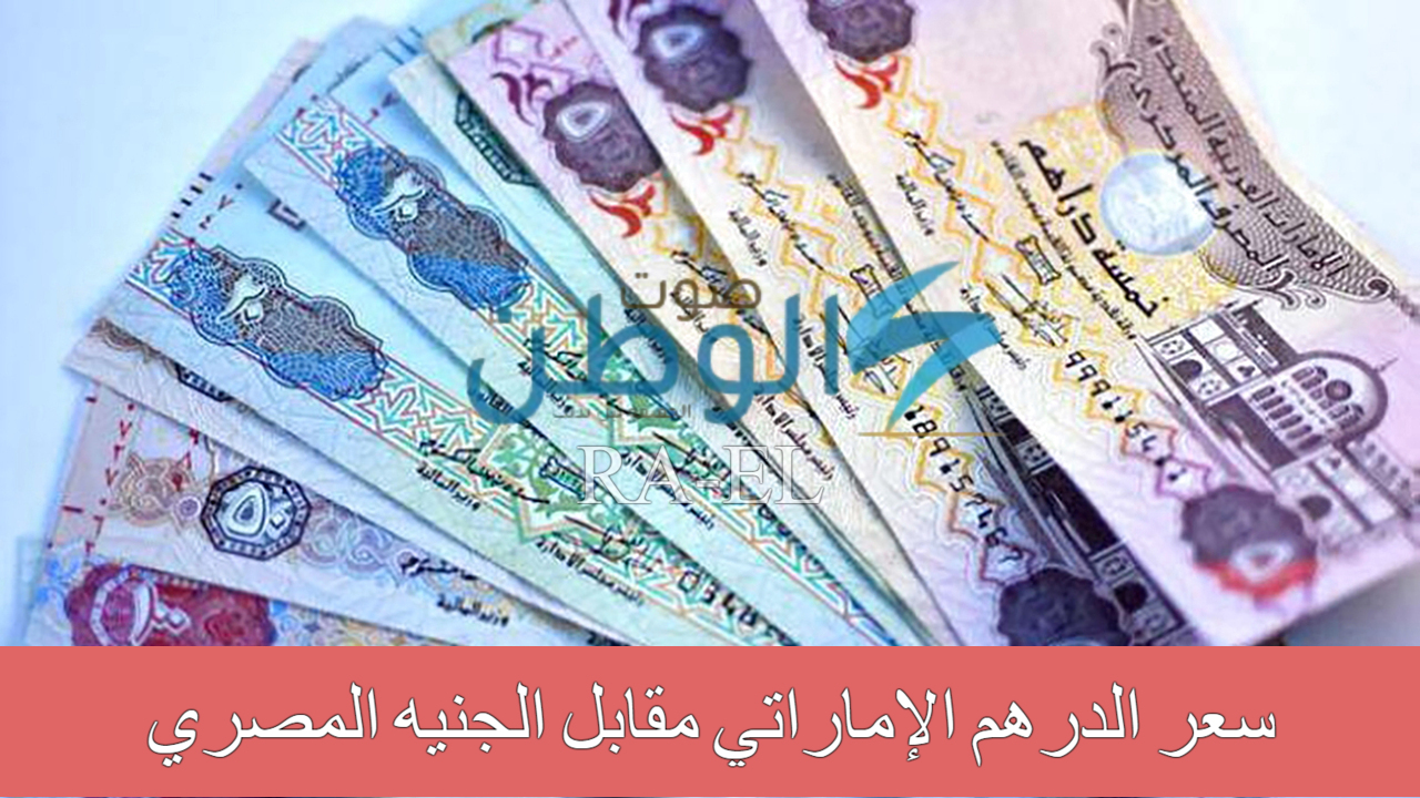 الدرهم بكام؟.. سعر الدرهم الإماراتي مقابل الجنيه المصري اليوم السبت 14 سبتمبر 2024 في البنوك المصرية