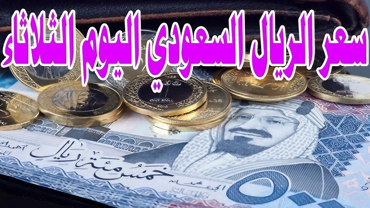 سعر الريال السعودي والعملات العربية اليوم الثلاثاء 3 سبتمبر 2024 في مصر