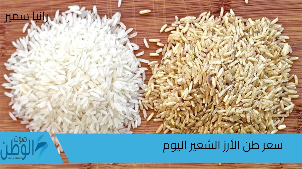 يسجل كم؟.. سعر طن الأرز الشعير اليوم السبت 7/9/2024 في الأسواق للحبة الرفيعة والعريضة